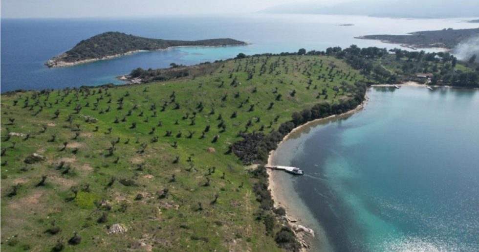Διάπορος: το νησί που έγινε υπόθεση της πλατείας